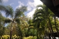 grenada, caribbean, west indie-073